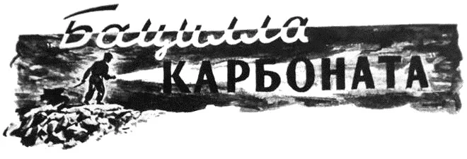 Обложка Бацилла карбоната