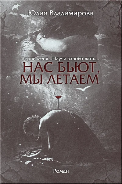 Обложка Нас бьют, мы летаем...