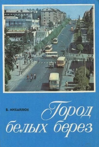 Обложка Город белых берез
