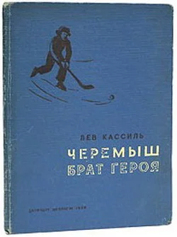 Обложка Черемыш – брат героя
