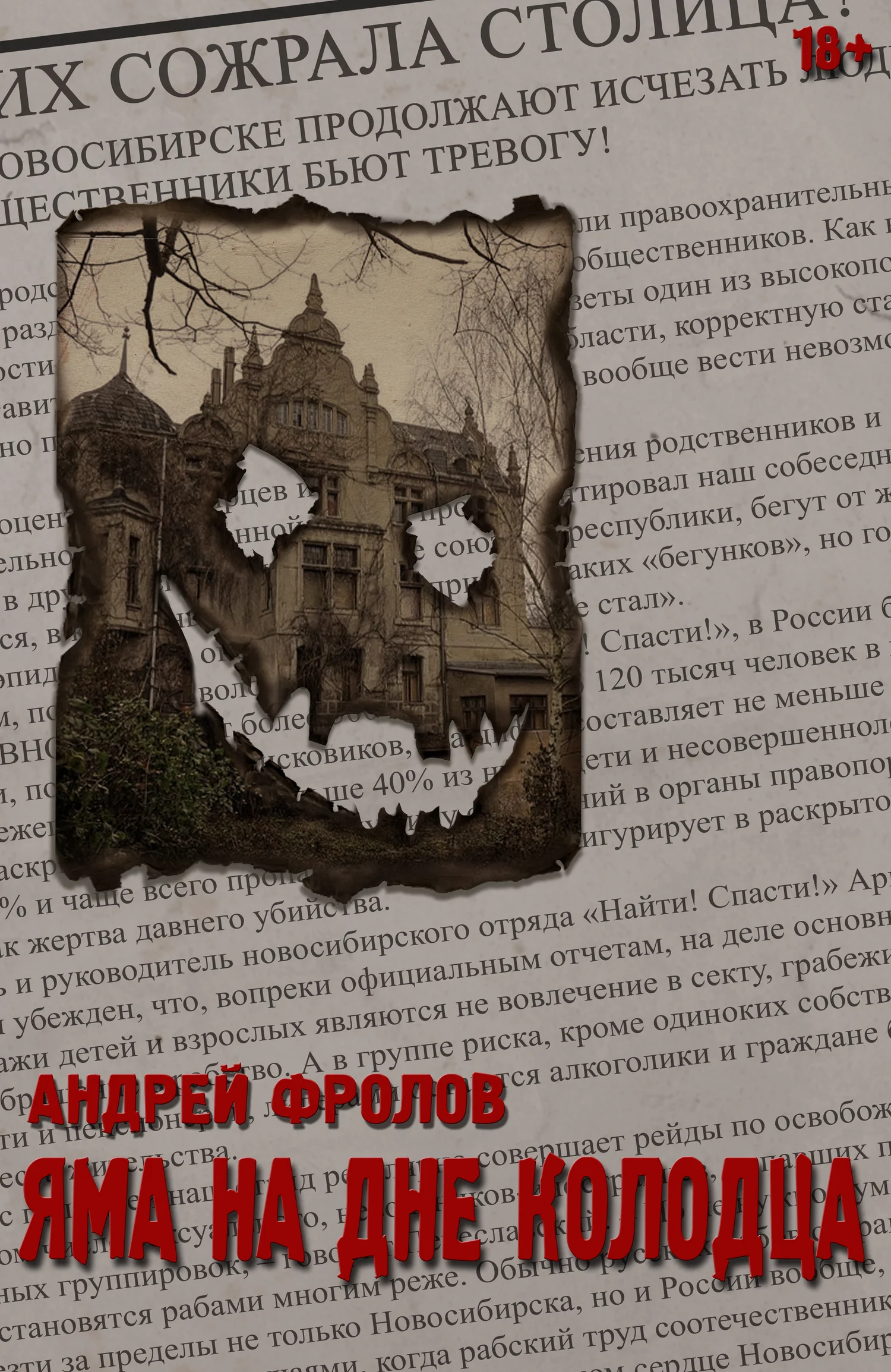 Обложка Яма на дне колодца