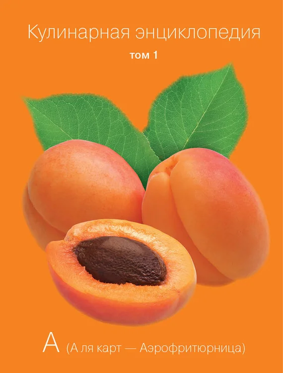 Обложка Кулинарная энциклопедия. Том 1. А (А ля карт – Аэрофритюрница)