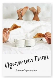 Обложка Идеальный план