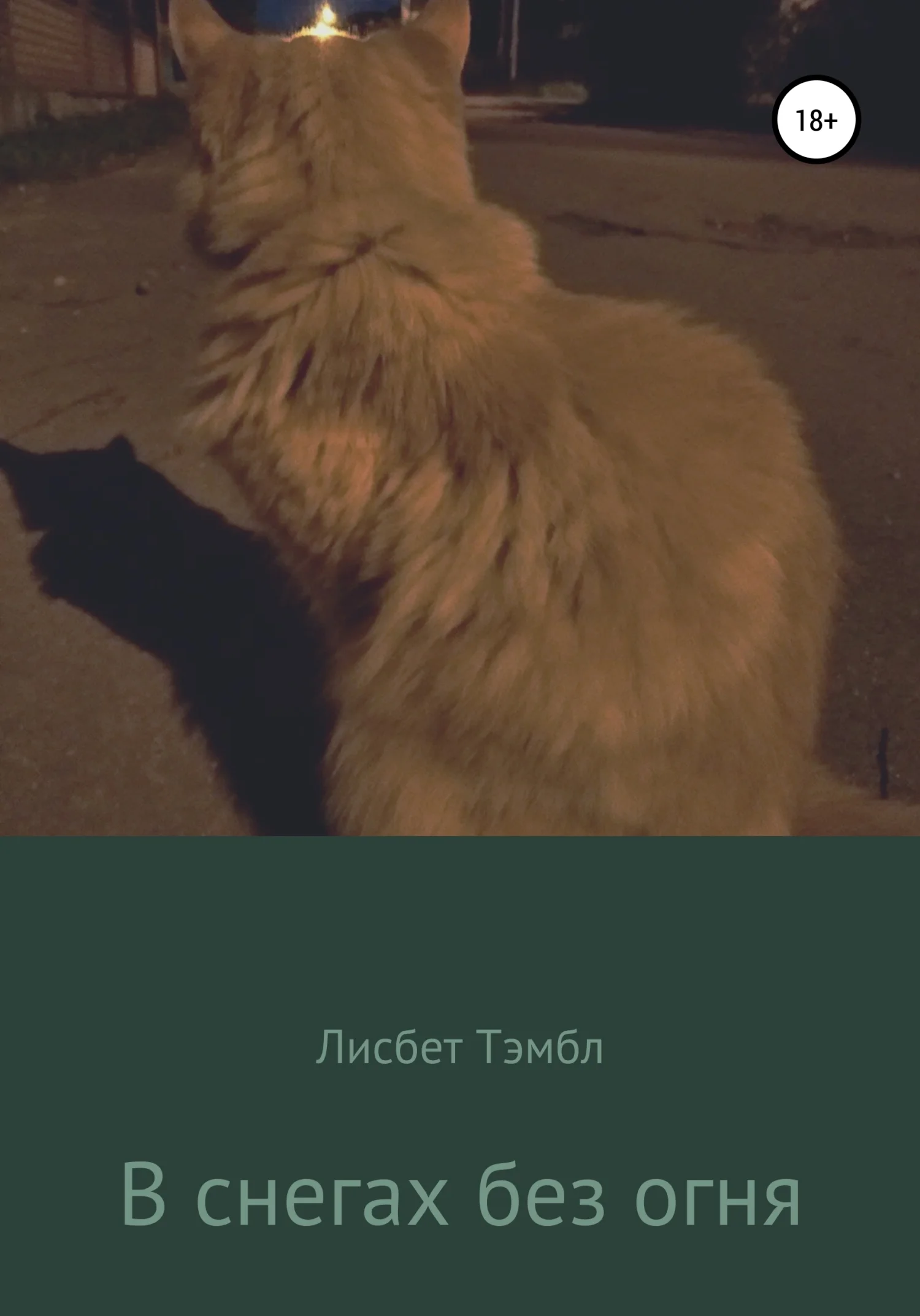 Обложка В снегах без огня