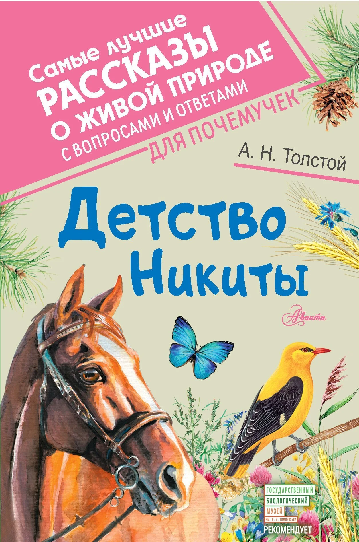 Обложка Детство Никиты