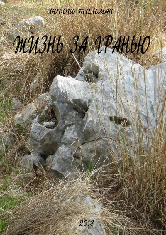 Обложка Жизнь за гранью