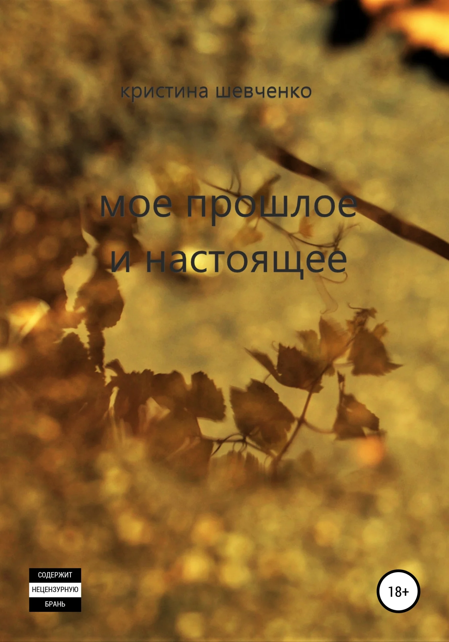 Обложка Мое прошлое и настоящее