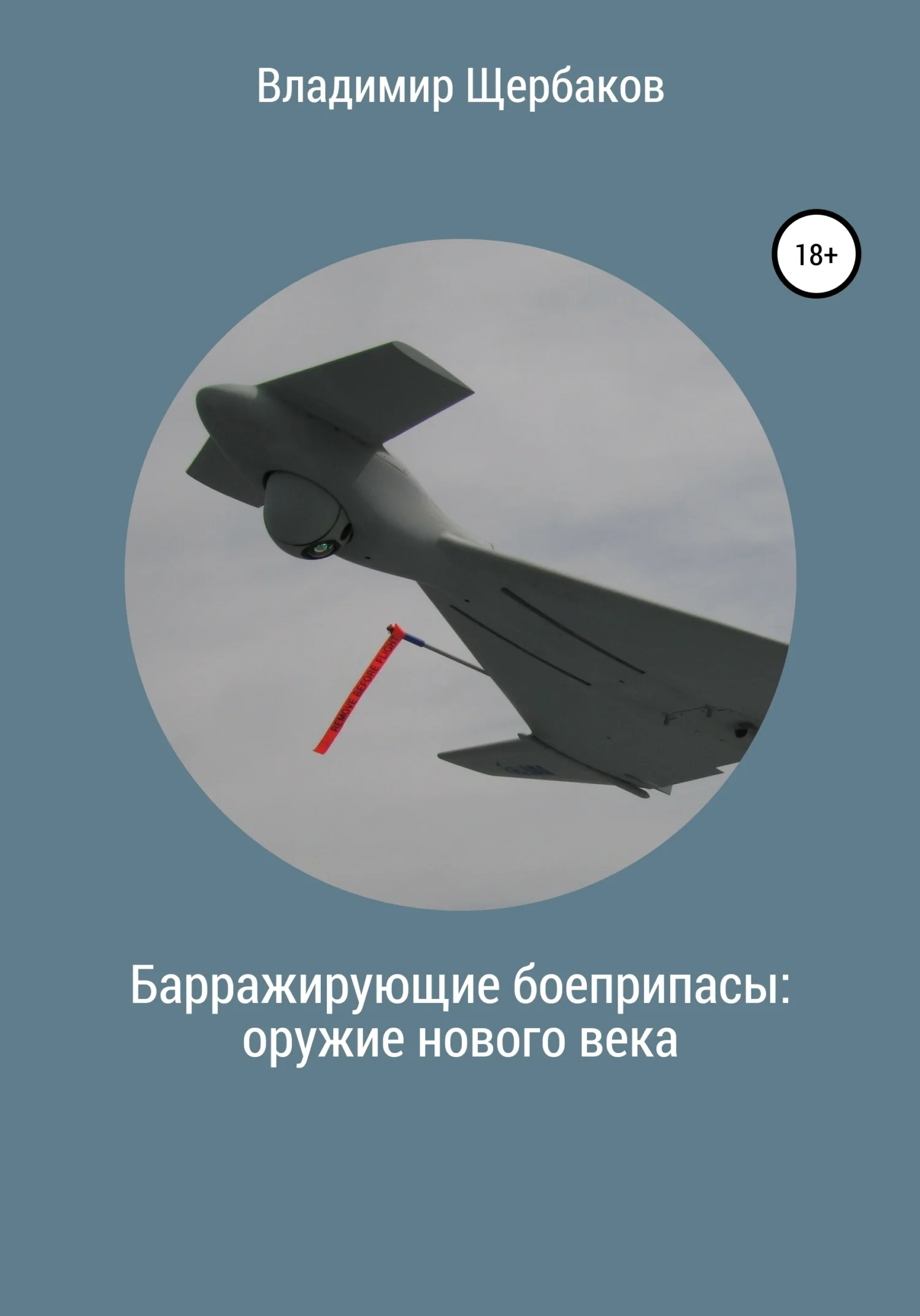 Обложка Барражирующие боеприпасы: оружие нового века