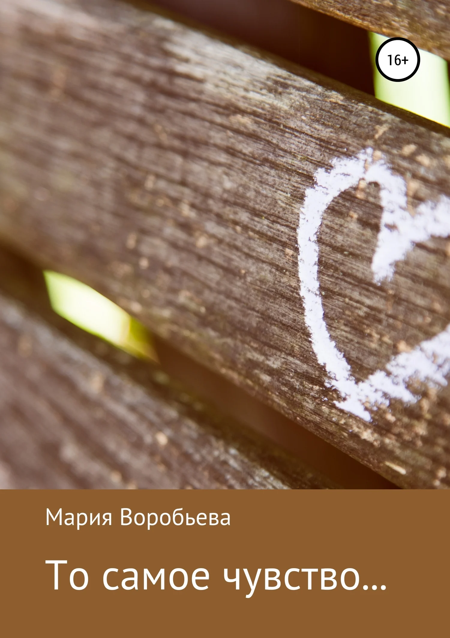 Обложка То самое чувство… Сборник рассказов