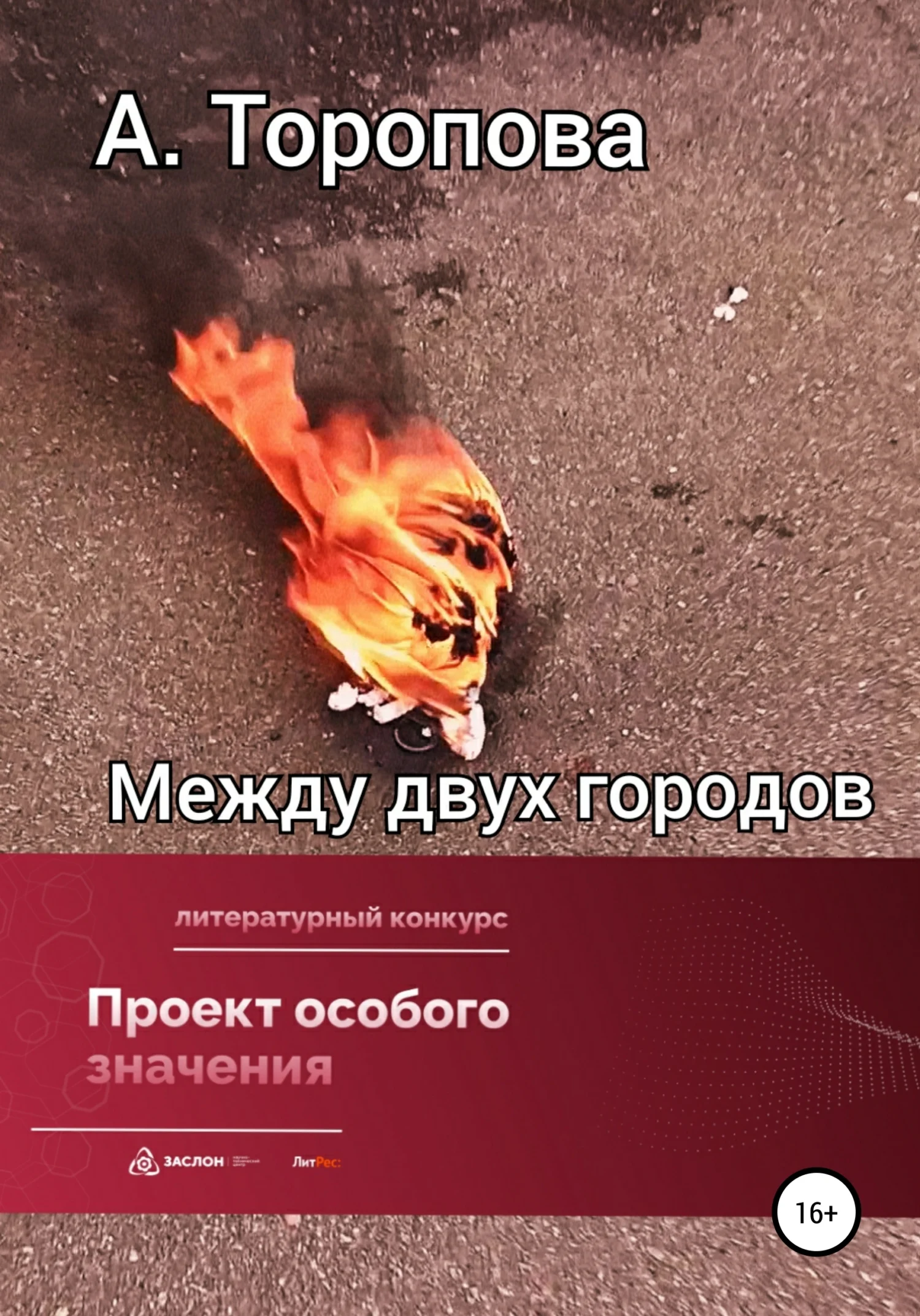 Обложка Между двух городов