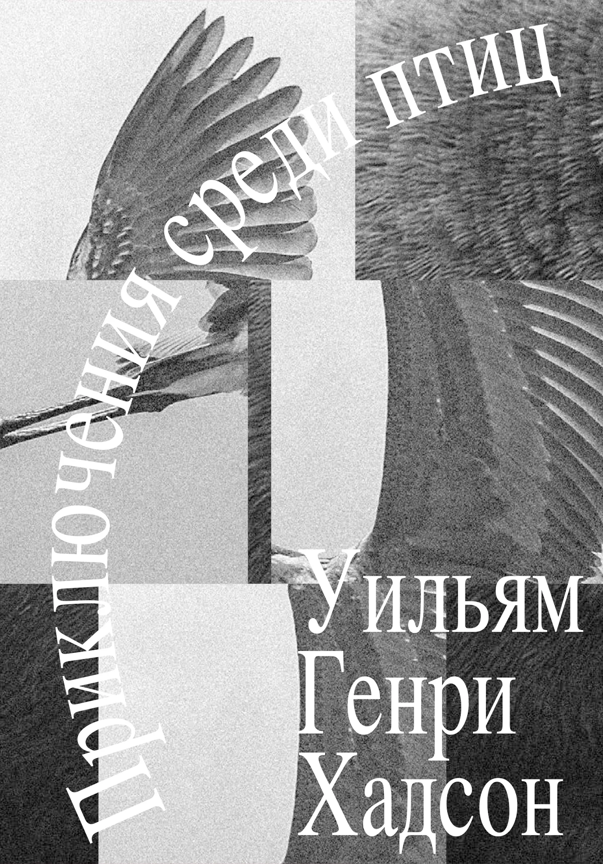 Обложка Приключения среди птиц