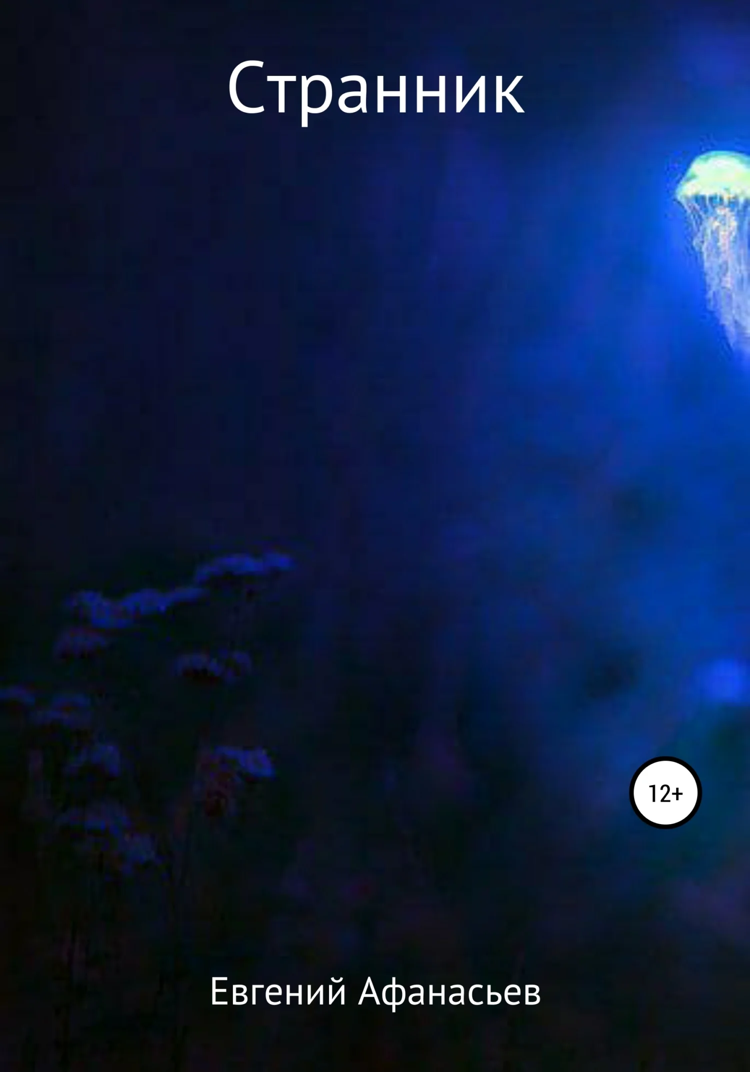 Обложка Странник