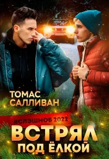 Обложка Встрял под ёлкой