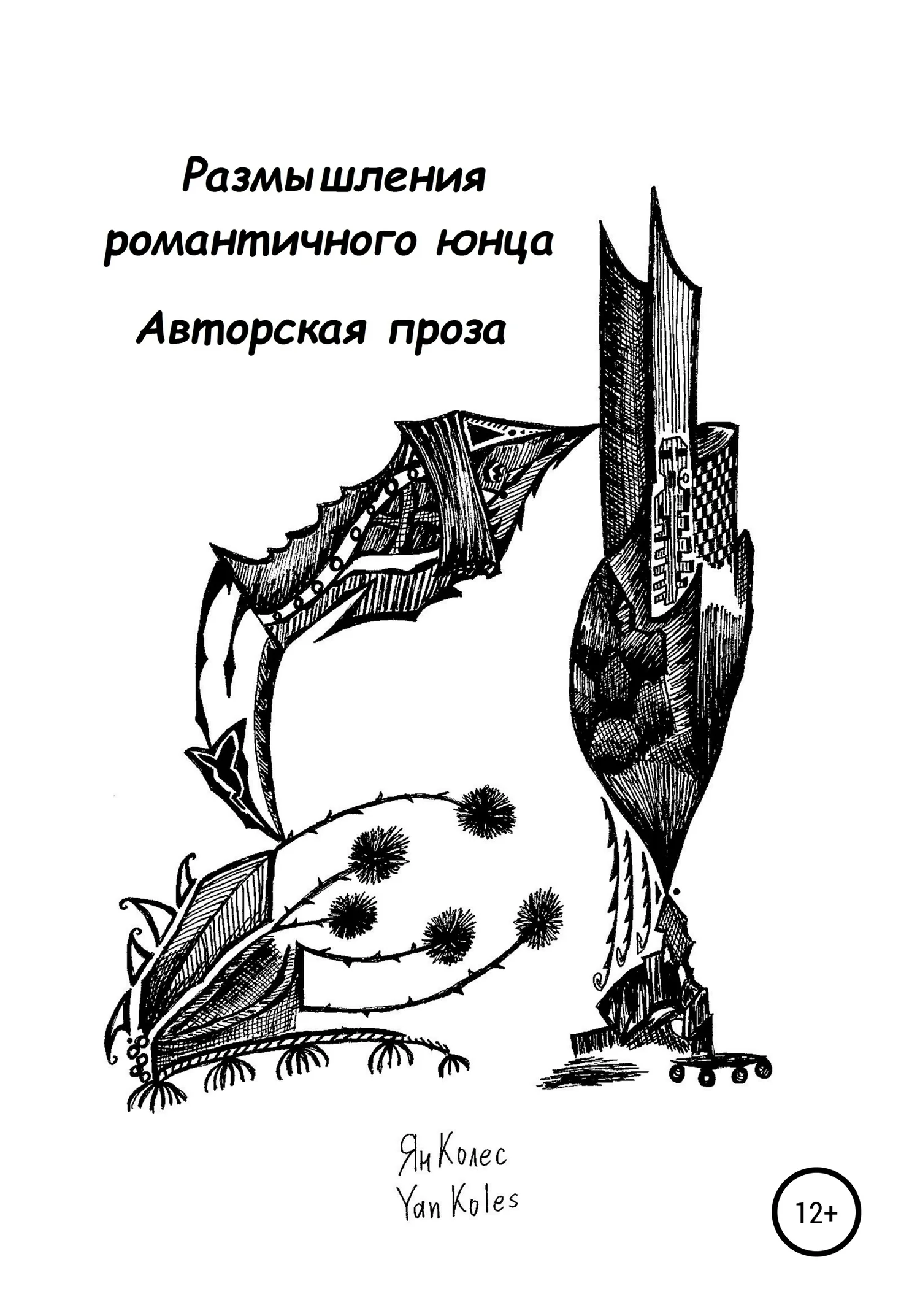 Обложка Размышления романтичного юнца