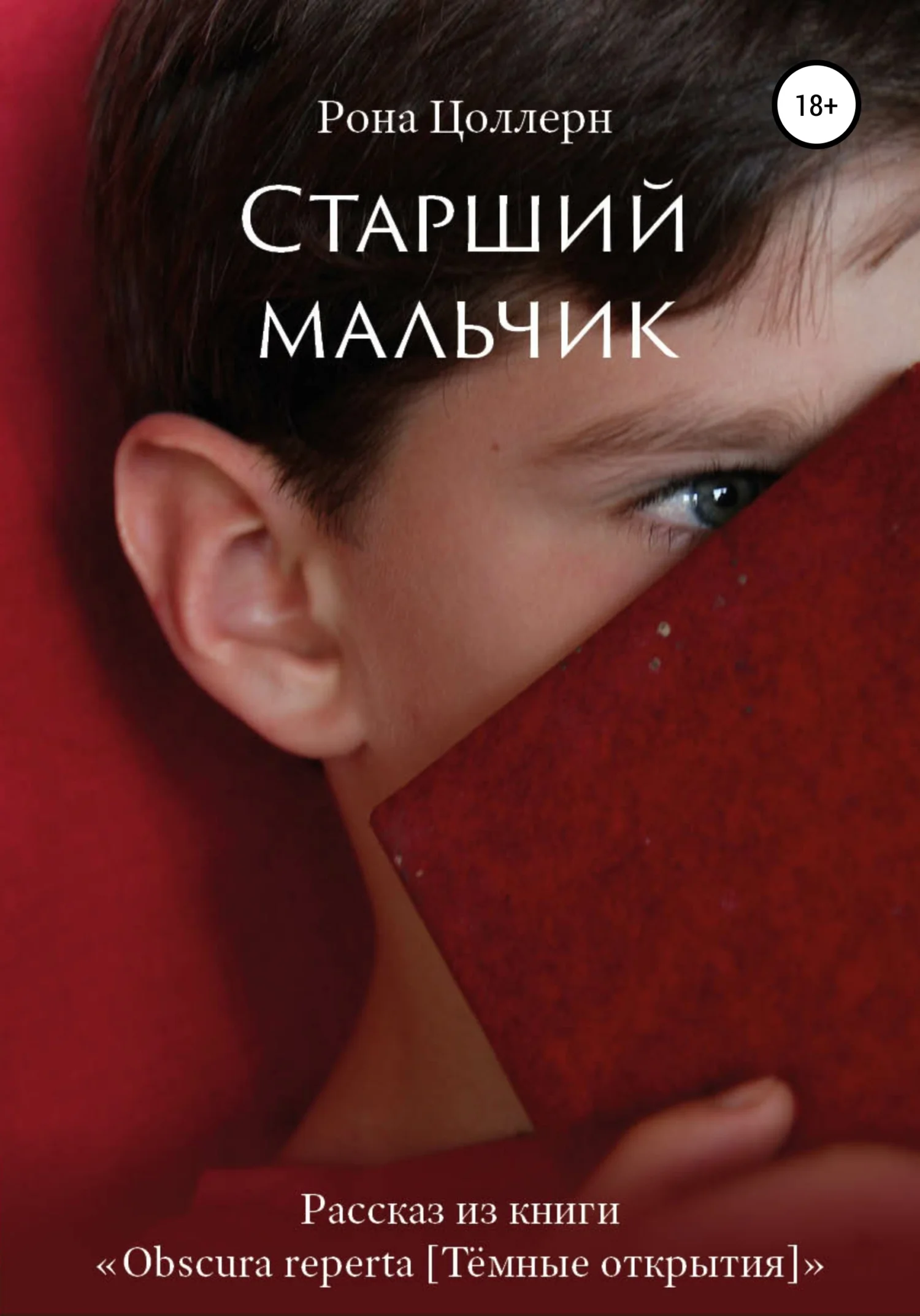Обложка Старший мальчик