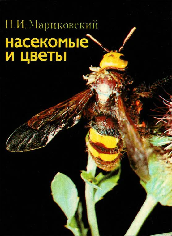 Обложка Насекомые и цветы