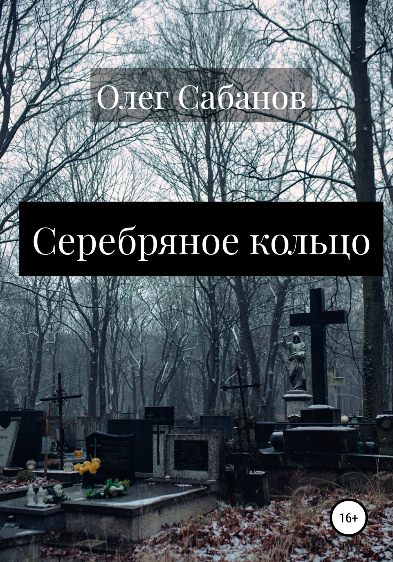 Обложка Серебряное кольцо