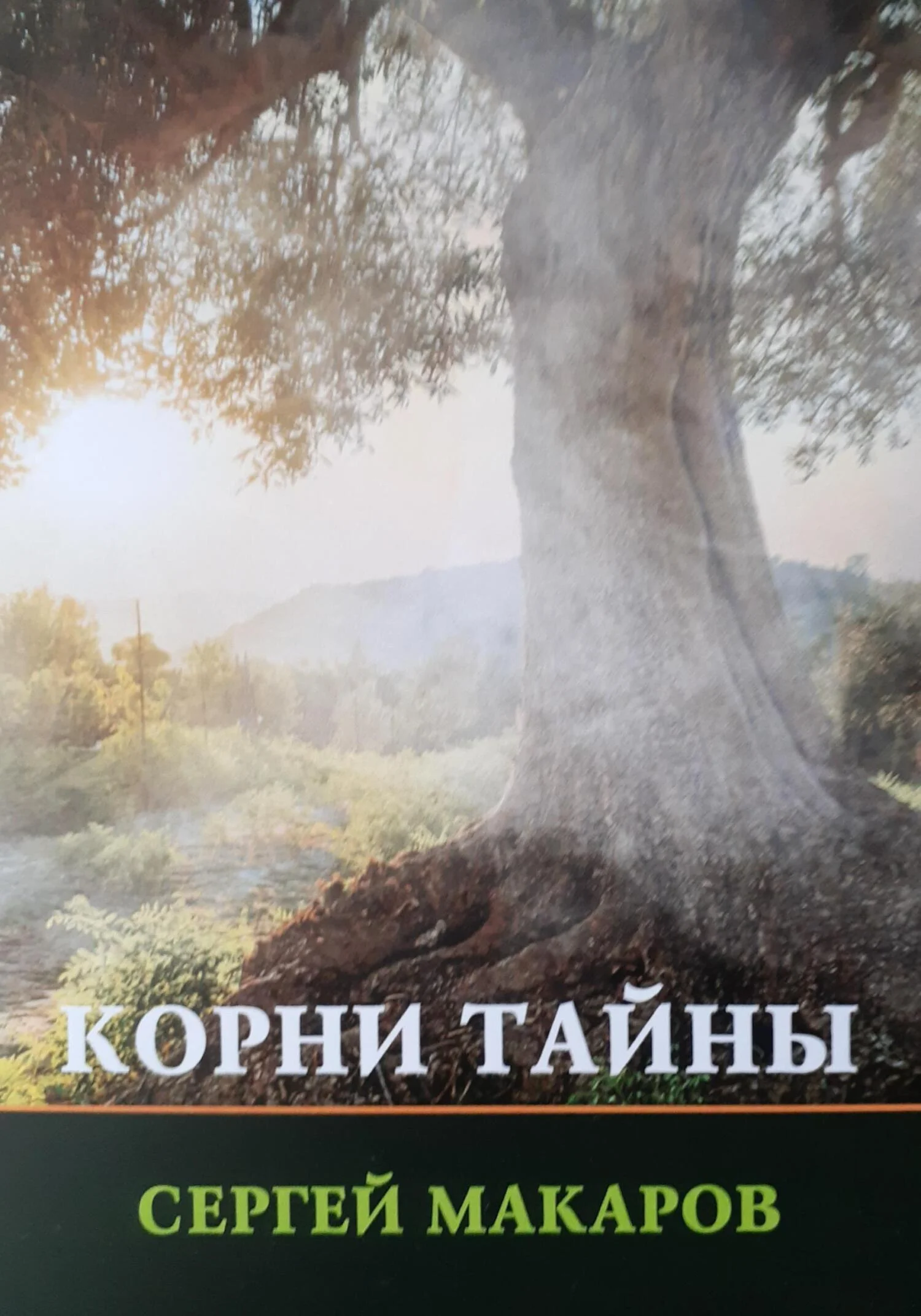 Обложка Корни тайны