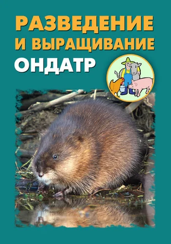 Обложка Разведение и выращивание ондатр