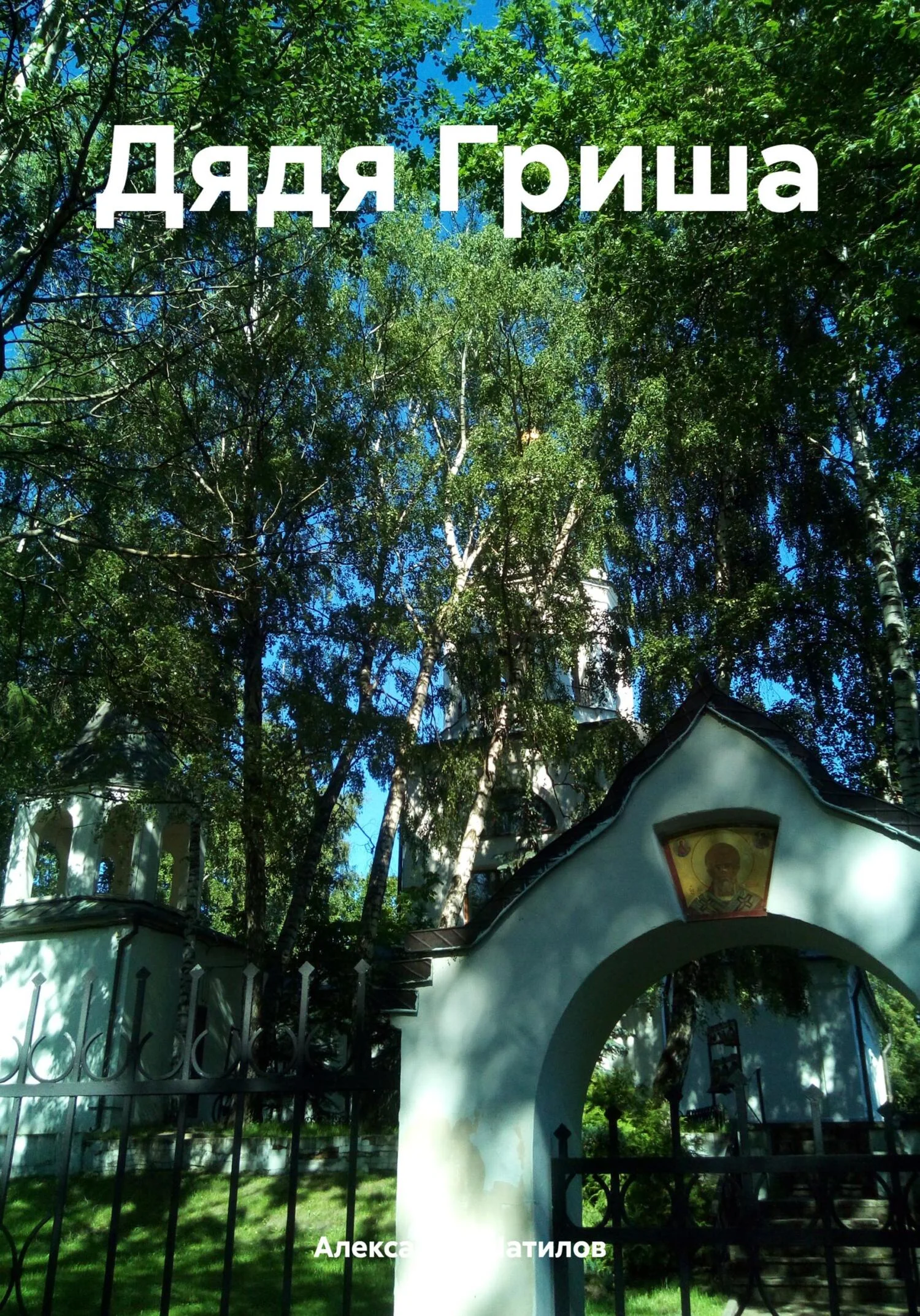 Обложка Дядя Гриша