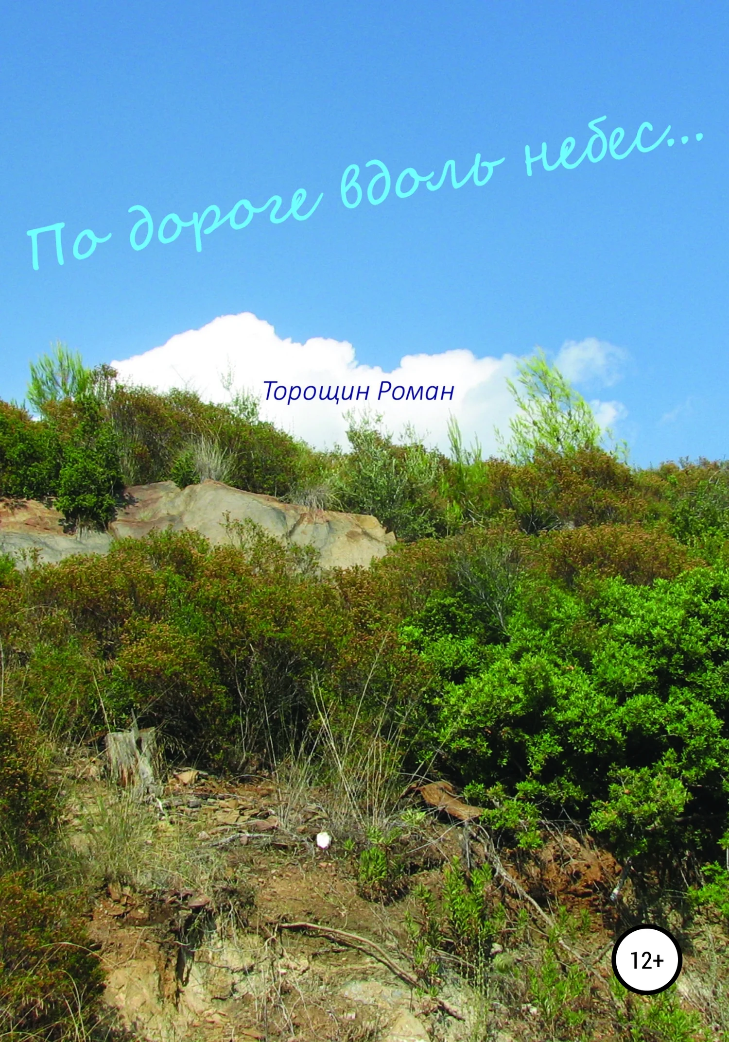 Обложка По дороге вдоль небес