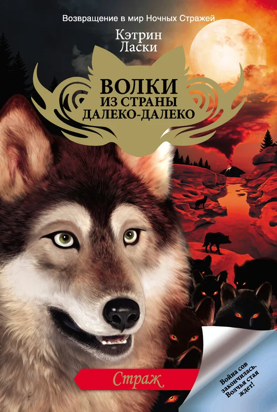 Обложка Страж