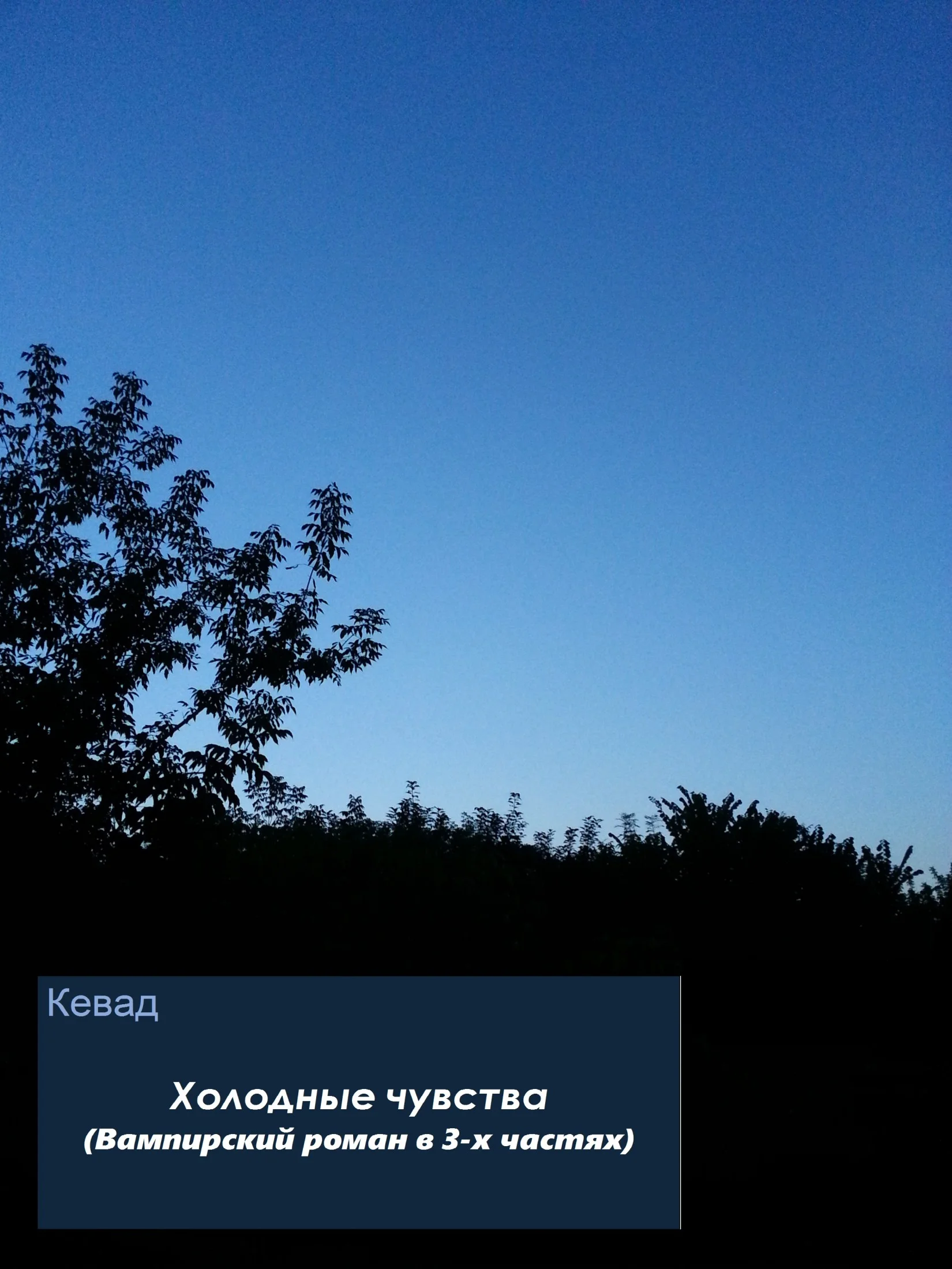 Обложка Холодные чувства. Вампирский роман