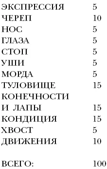 Обложка Пекинес. День за днем.