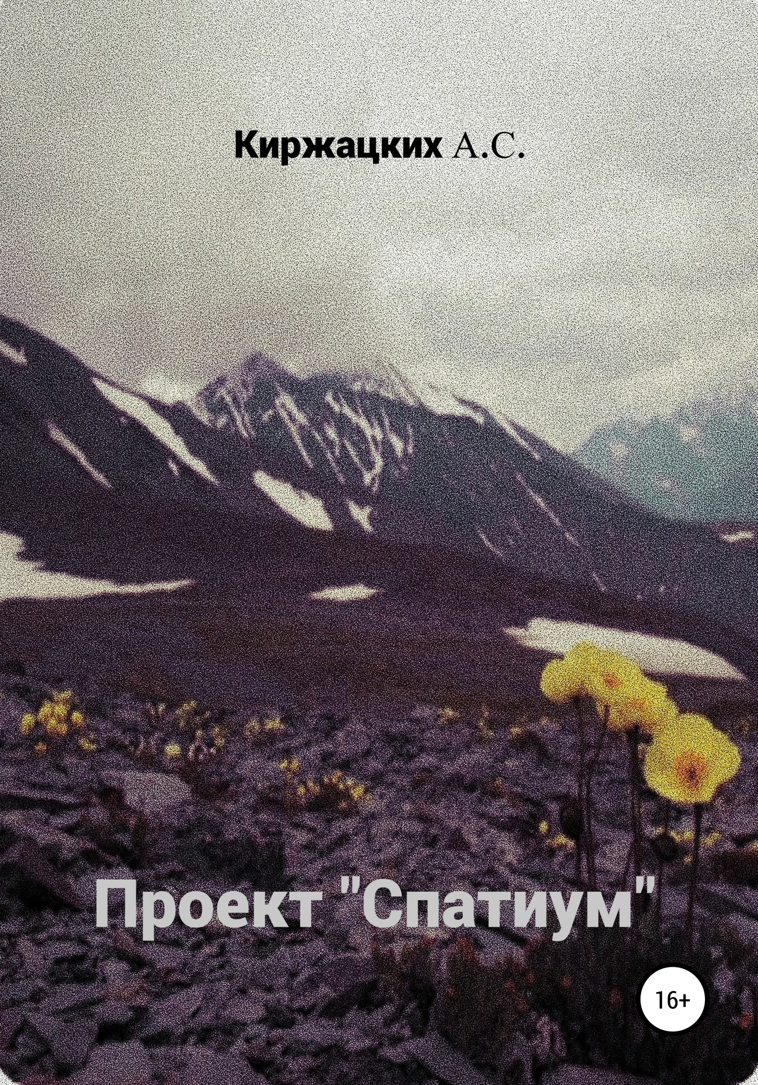 Обложка Проект «Спатиум»