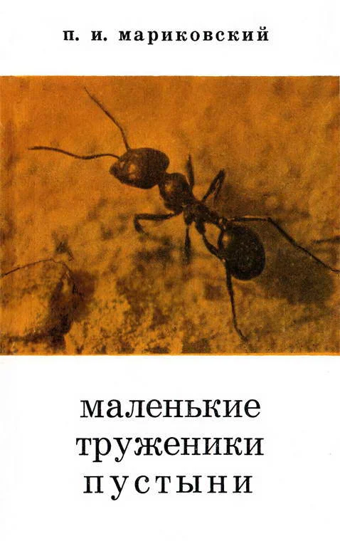 Обложка Маленькие труженики пустыни