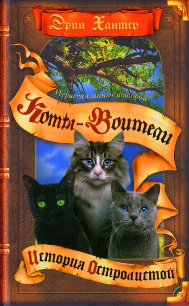 Обложка История Остролистой. Знамение Невидимой Звезды. Путешествие Тучезвезда