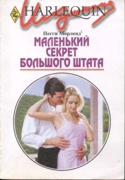 Обложка Маленький секрет большого штата