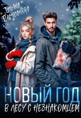 Обложка Новый год в лесу с незнакомцем