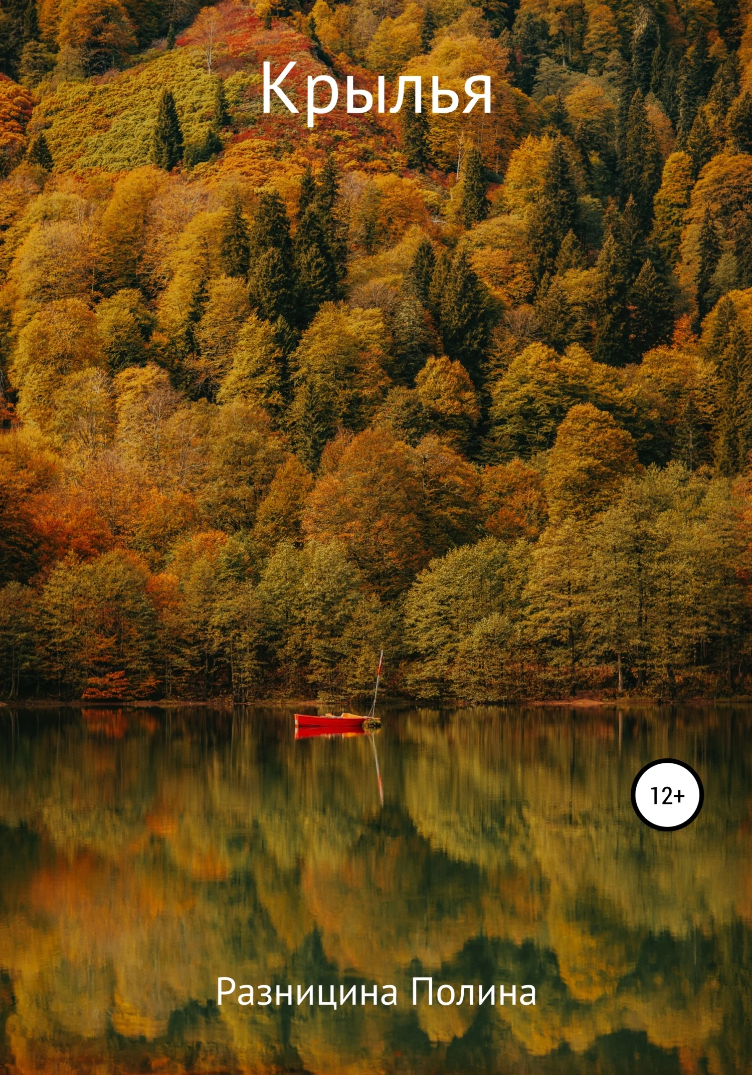 Обложка Крылья