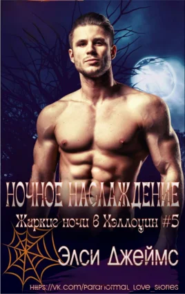 Обложка Ночные наслаждения
