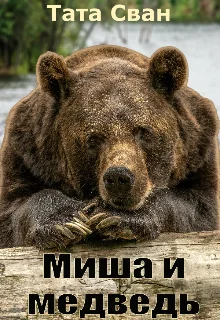 Обложка Миша и Медведь