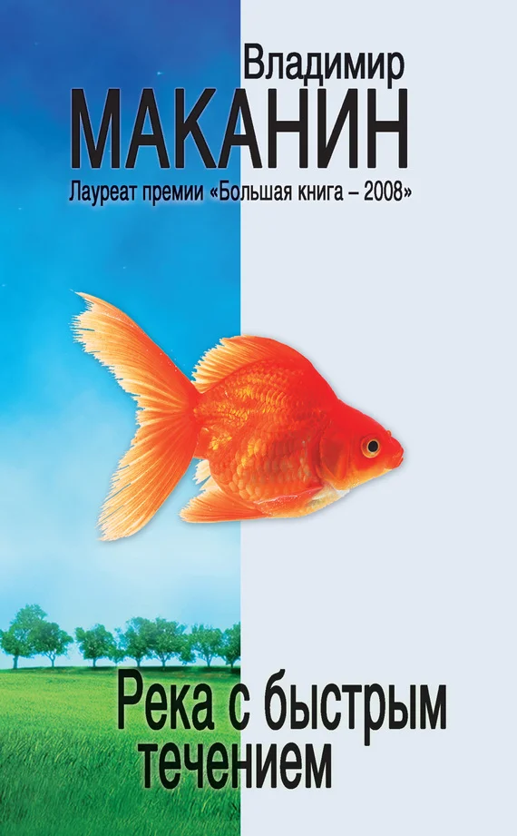 Обложка Река с быстрым течением