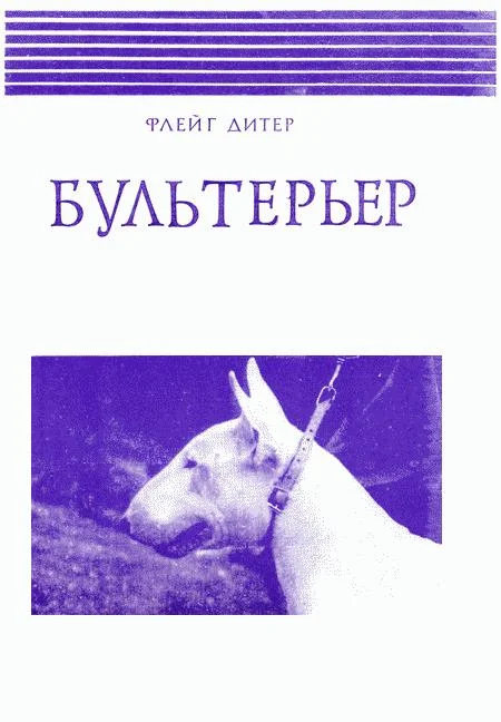 Обложка Бультерьер