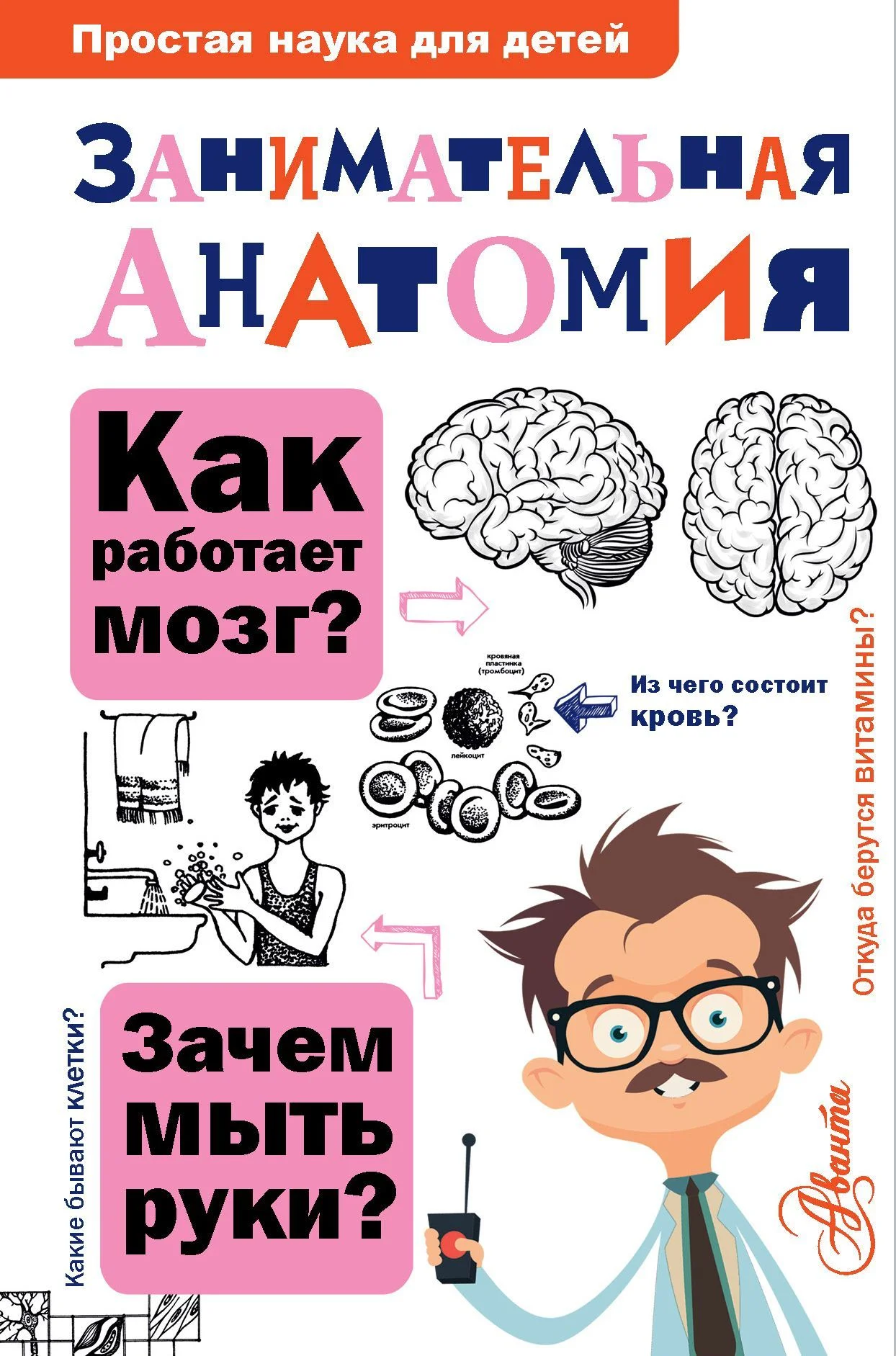 Обложка Занимательная анатомия