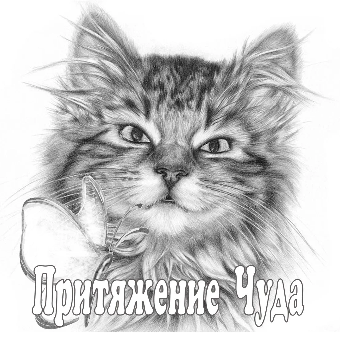 Обложка Притяжение чуда