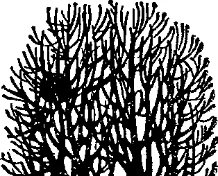 Обложка Час жити, час помирати