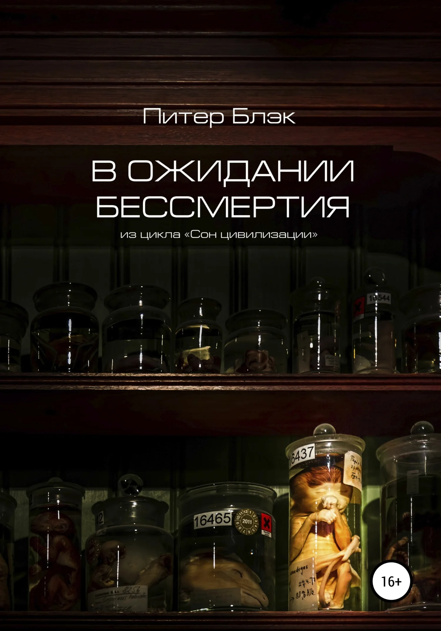 Обложка В ожидании бессмертия