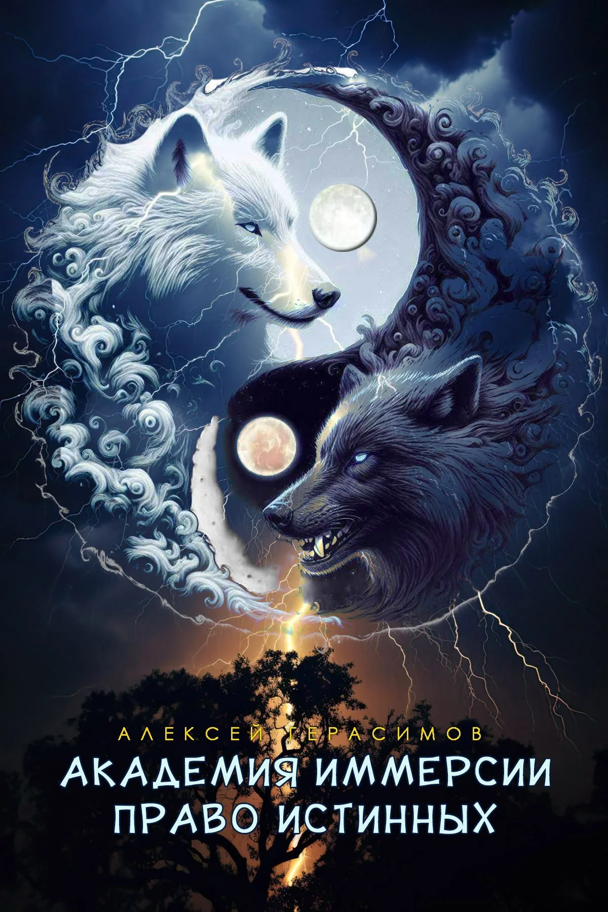 Обложка Академия Иммерсии 2: Право Истинных