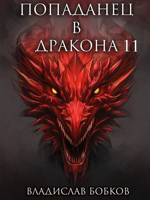 Обложка Попаданец в Дракона 11