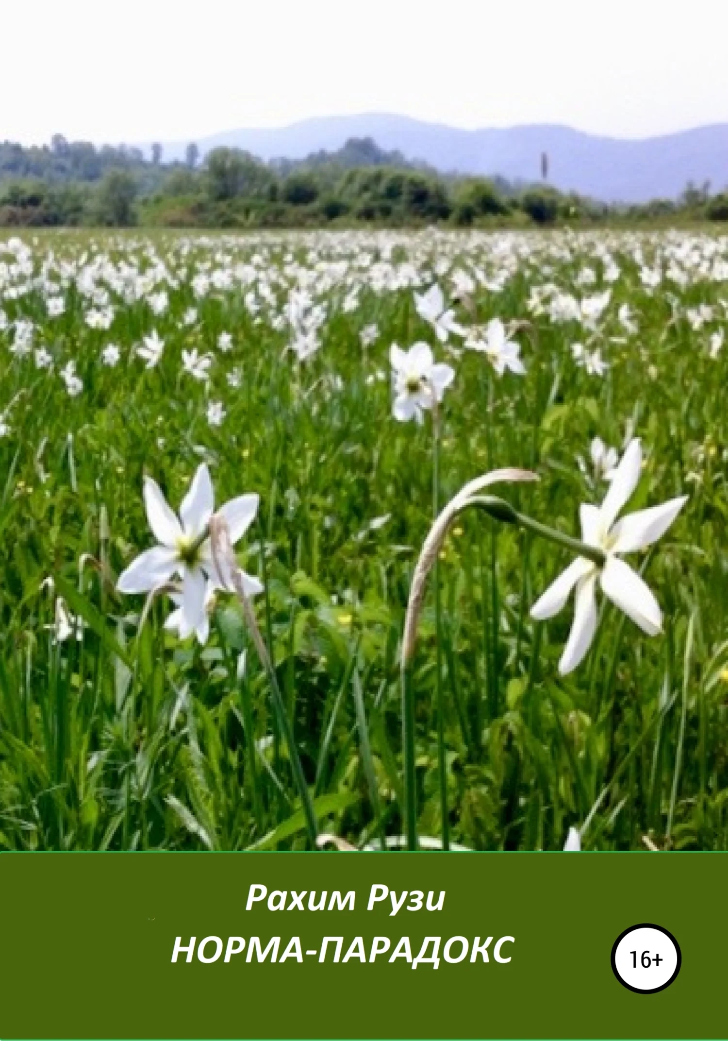 Обложка Норма-парадокс