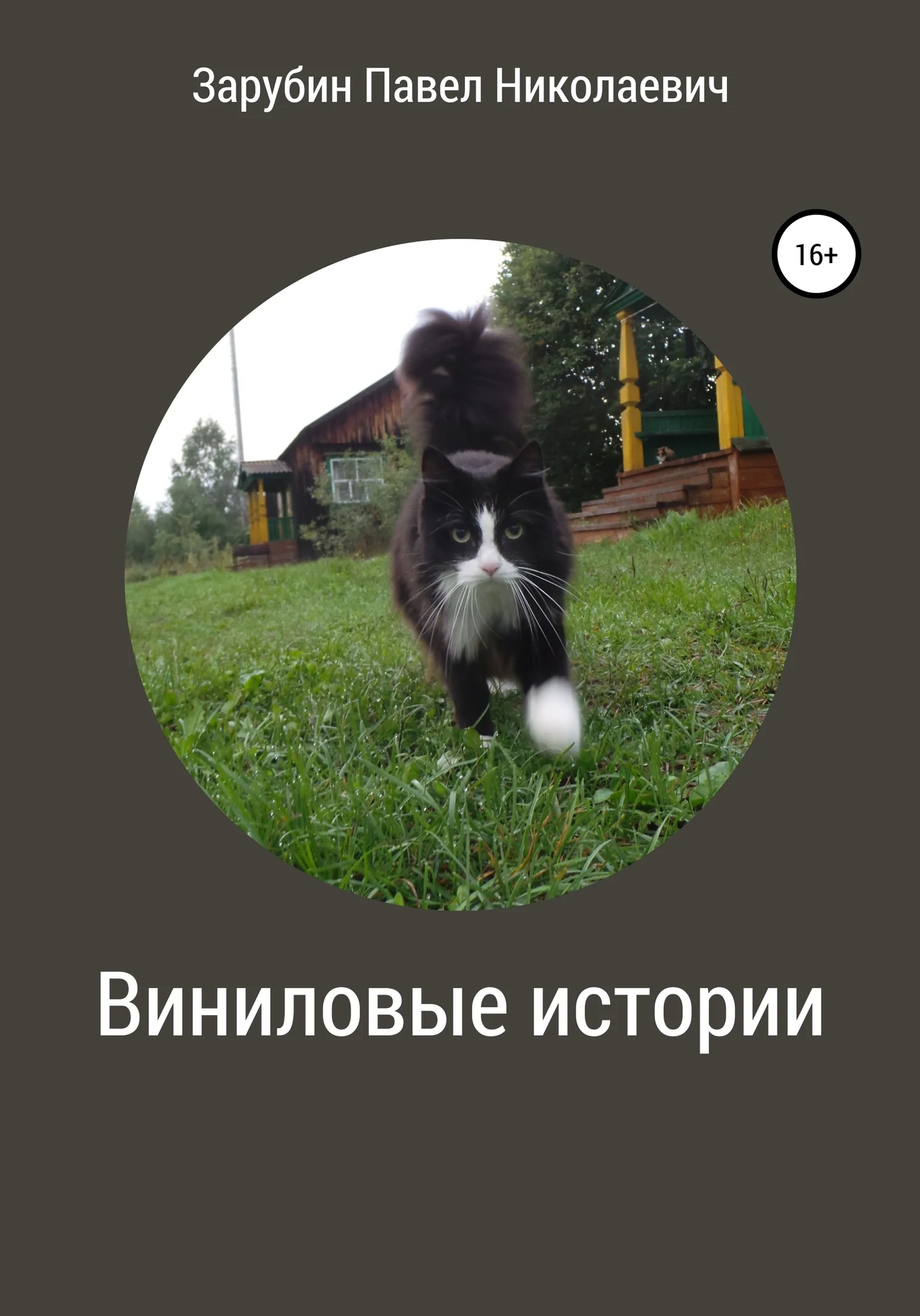 Обложка Виниловые истории