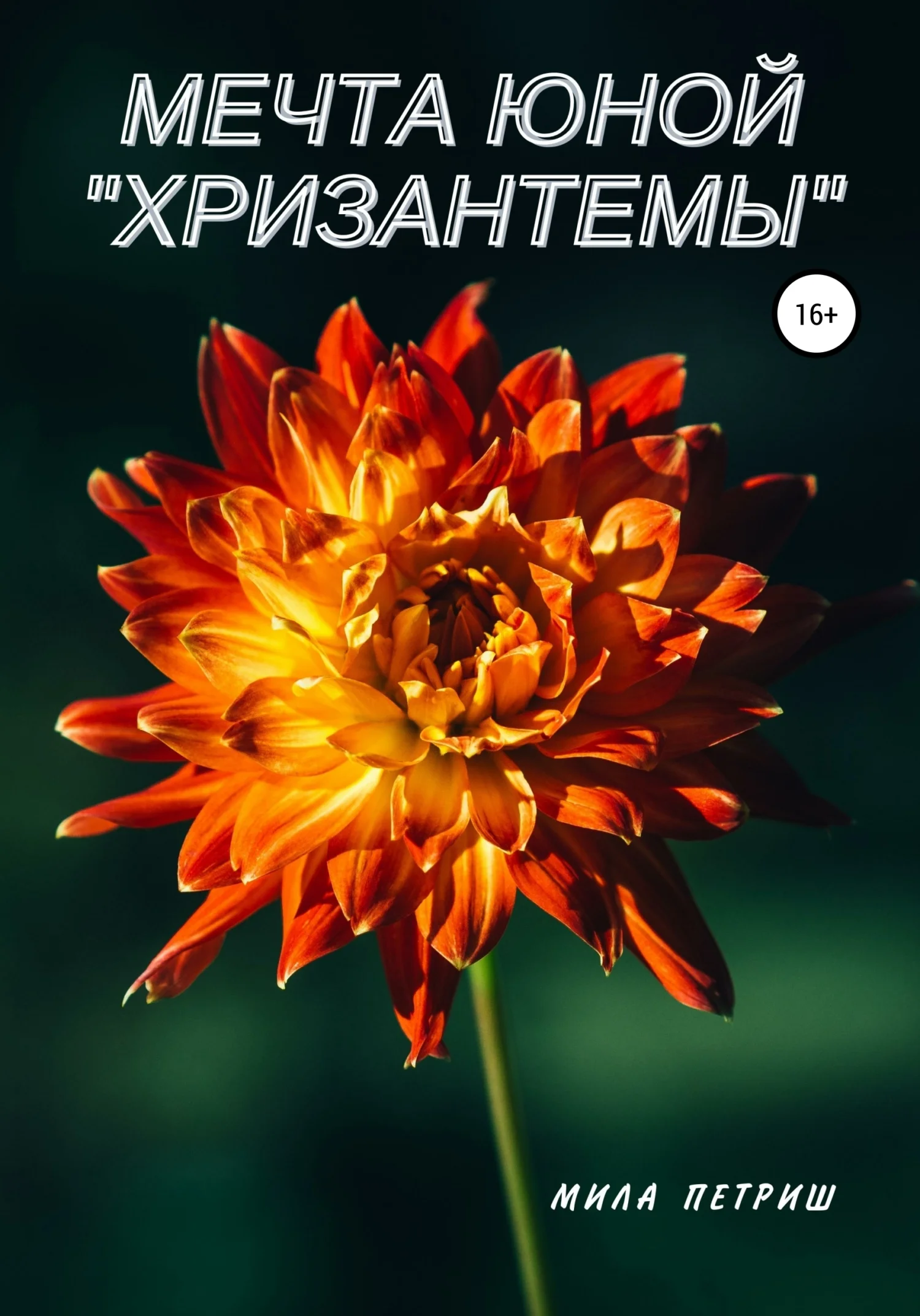Обложка Мечта юной «Хризантемы»
