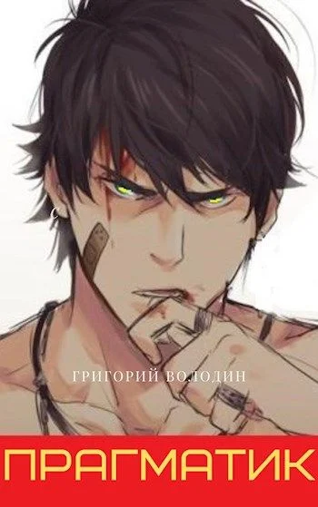 Обложка Прагматик