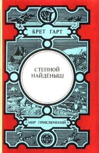 Обложка Степной найденыш