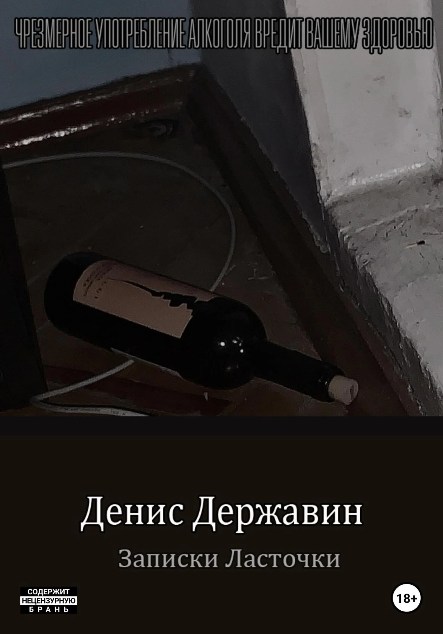 Обложка Записки ласточки